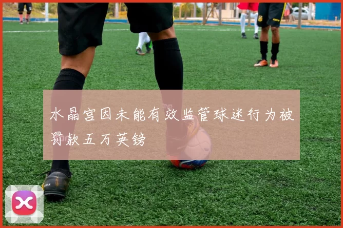 水晶宫因未能有效监管球迷行为被罚款五万英镑